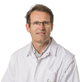 prof. dr. Hendrik De Raeve