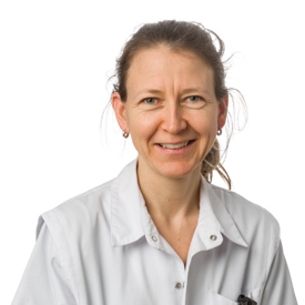 dr. Nele Platteaux