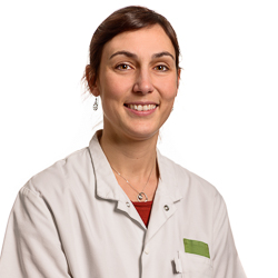 Dr. Katia Verbruggen