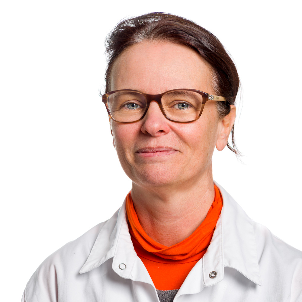 Prof. dr. Anja Flamez