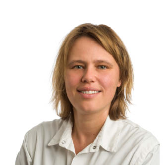 Prof. dr. Sylvie De Raedt