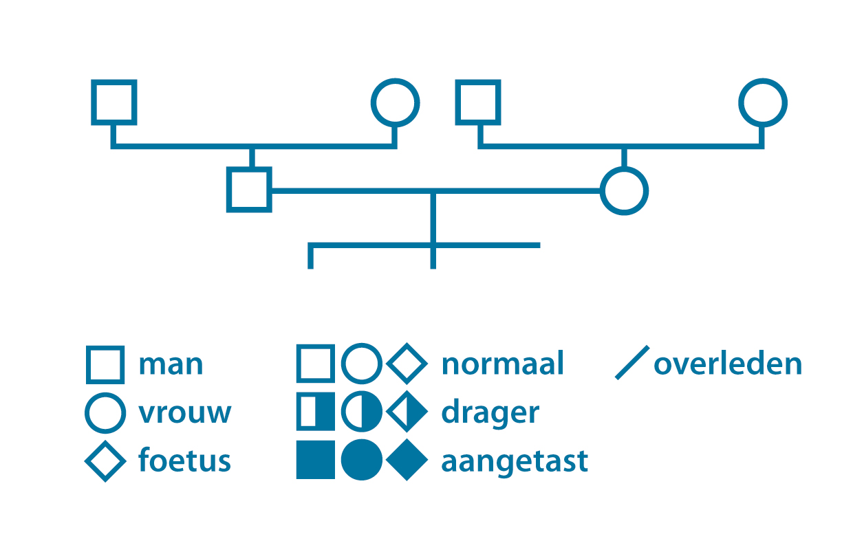 Family tree - CMG UZ Brussel